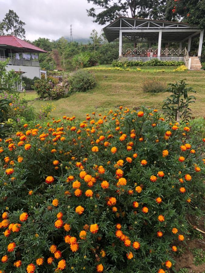 A Spacious Tropical 4 Bedrooms With Bathrooms Villa Marion Tomohon With The View Of Gunung Lokon Exterior foto